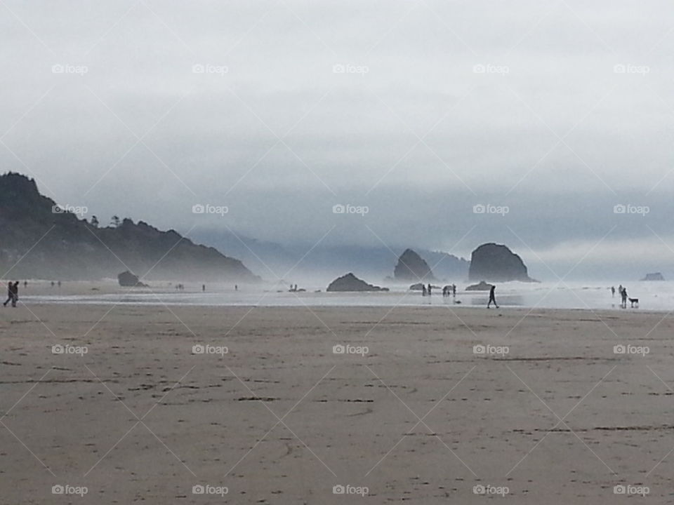  foggy beach
