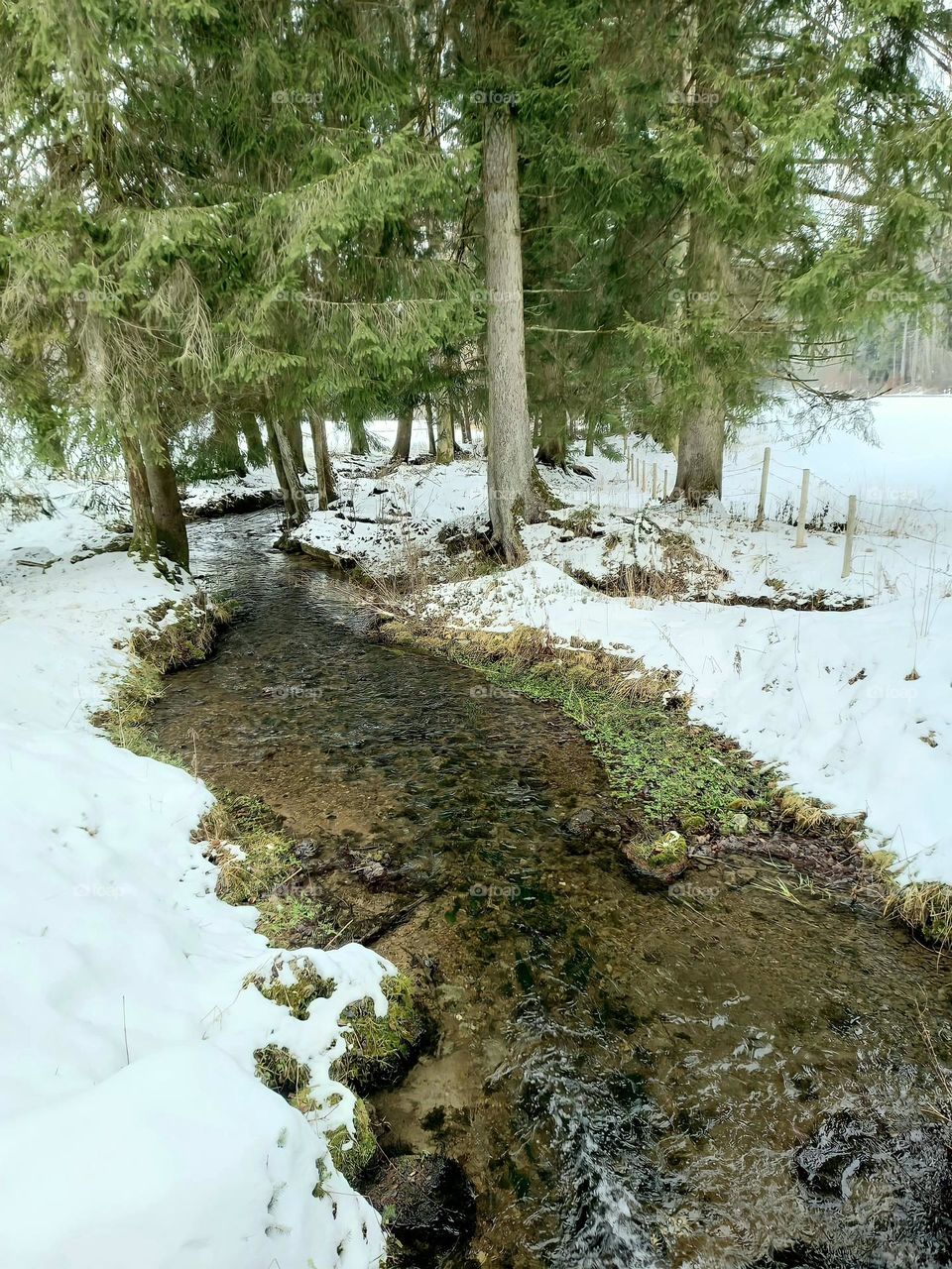 Melting Snow in a Creek