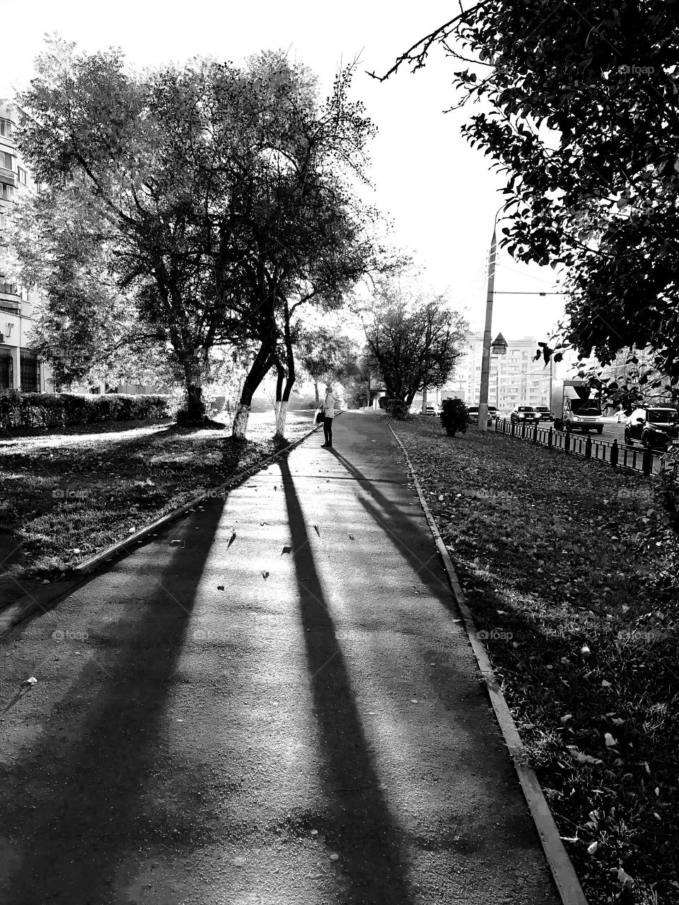 autumn sunny evening