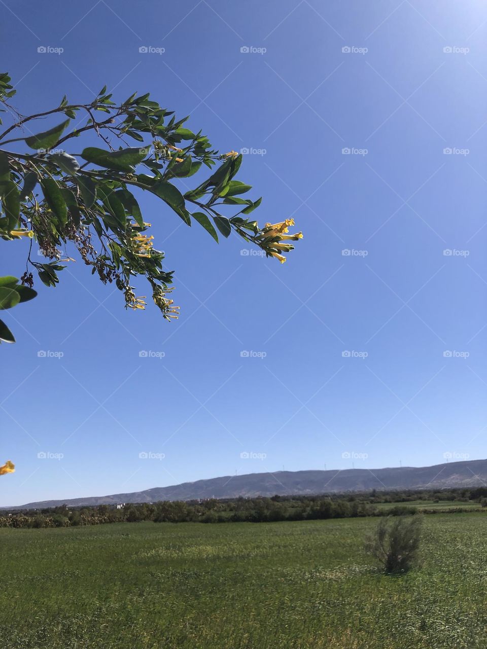 Beautiful field and view to landscape.