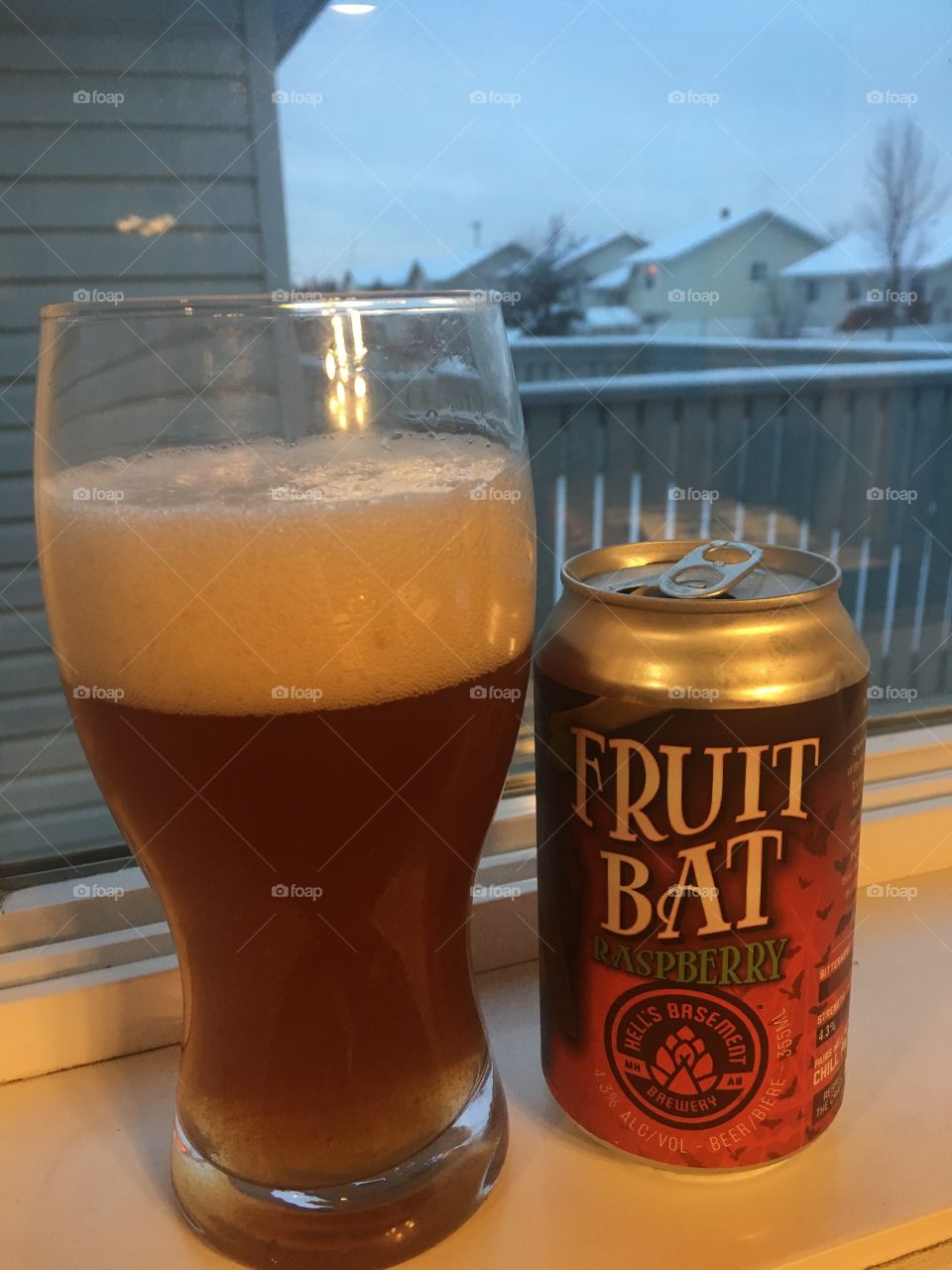 Fruit bat raspberry ale