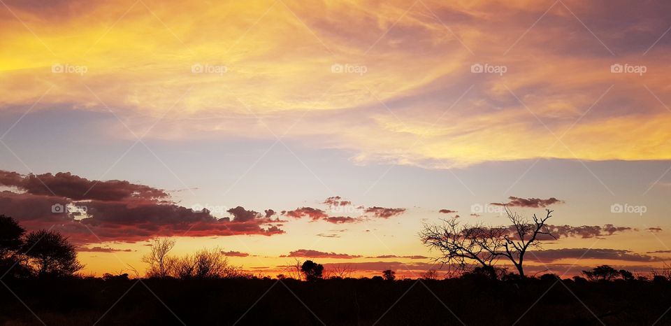 Sunsets in the bushveld are in my opinion one of the most beautiful ways to end the day.