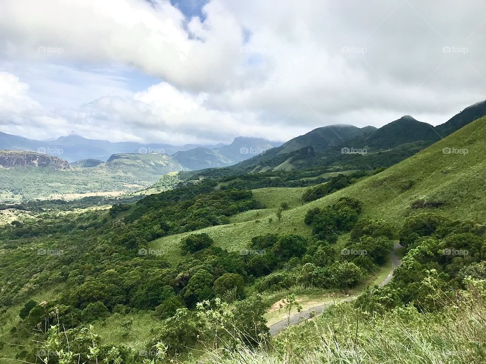 Mountain range of Sri Lanka Matale District... Vibrant Grass Land...