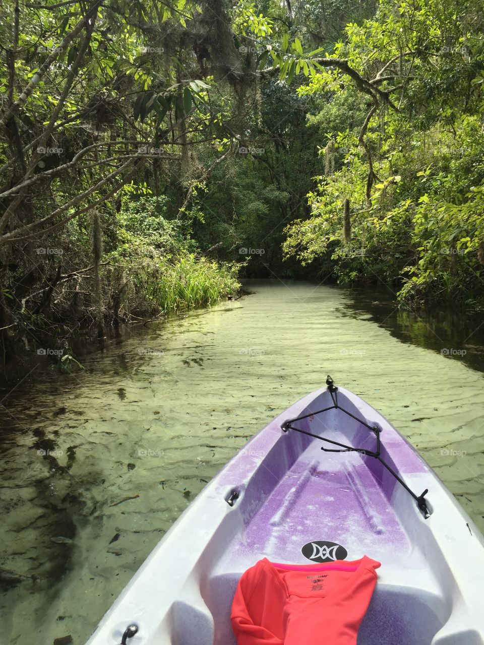 Kayaking in FL. Kayaking to a spring on the Rainbow River in Dunnellon FL
