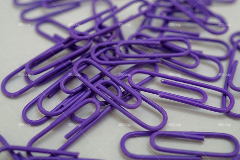 Purple paperclip 