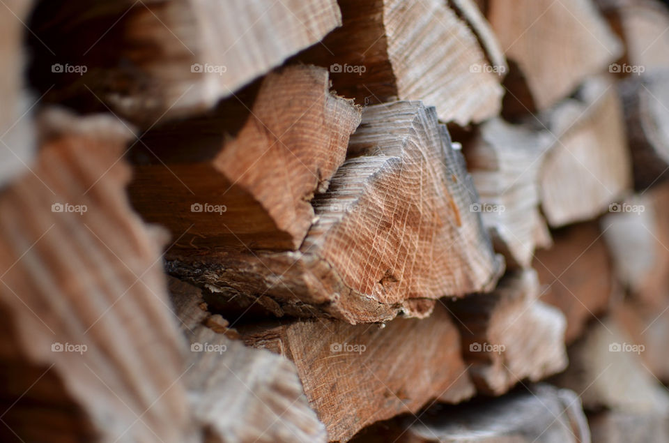 macro close closeup red by hugo