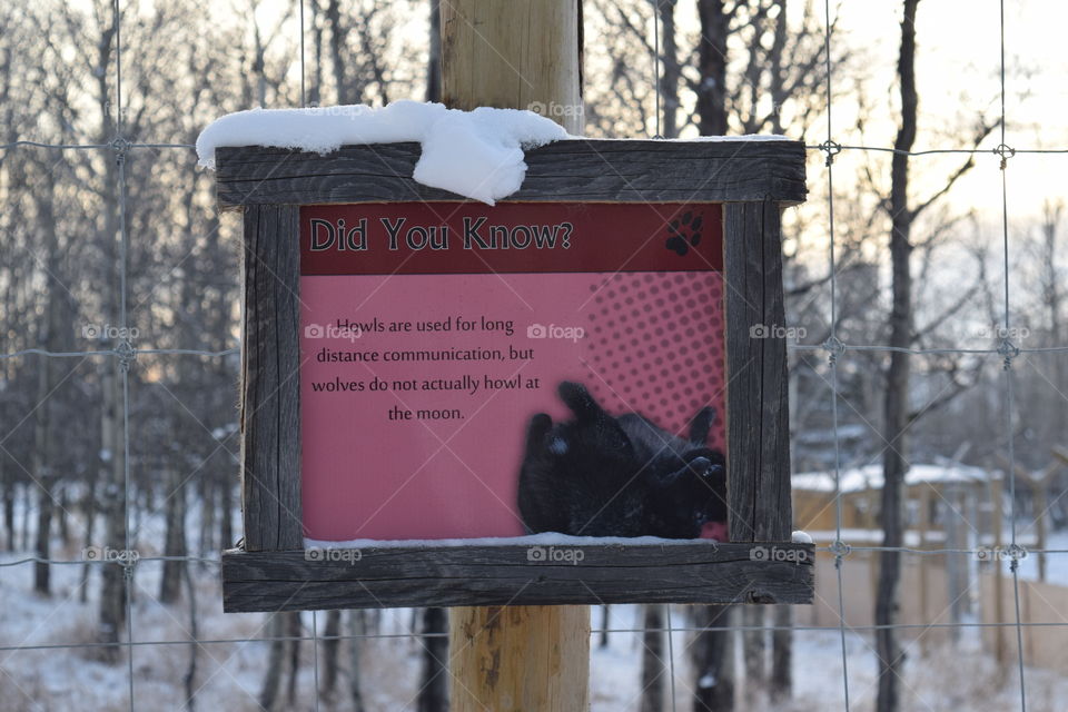 Wolf Sanctuary Awareness 