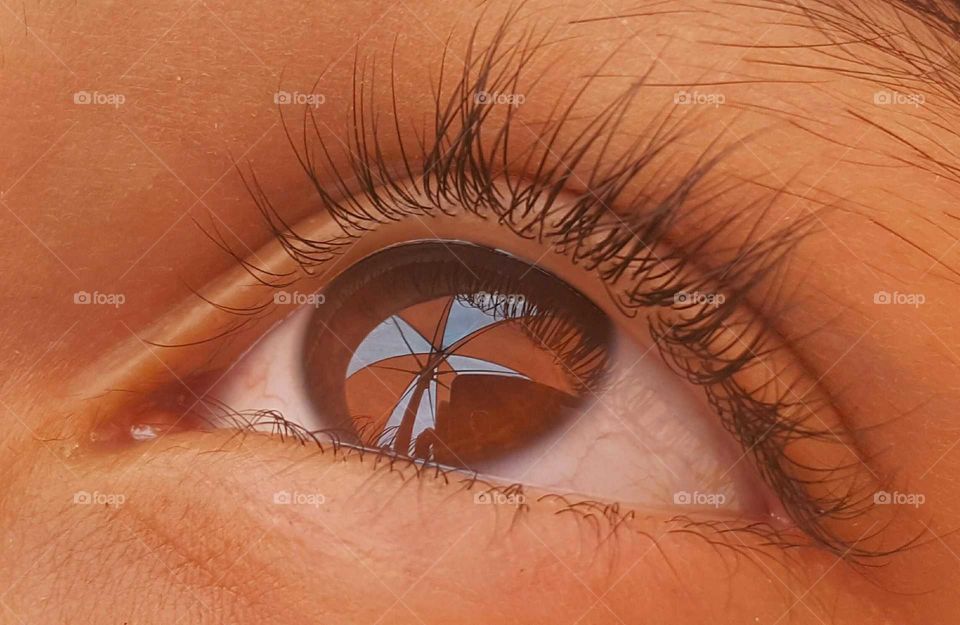 Macro shot of eye. Umbrella reflection!