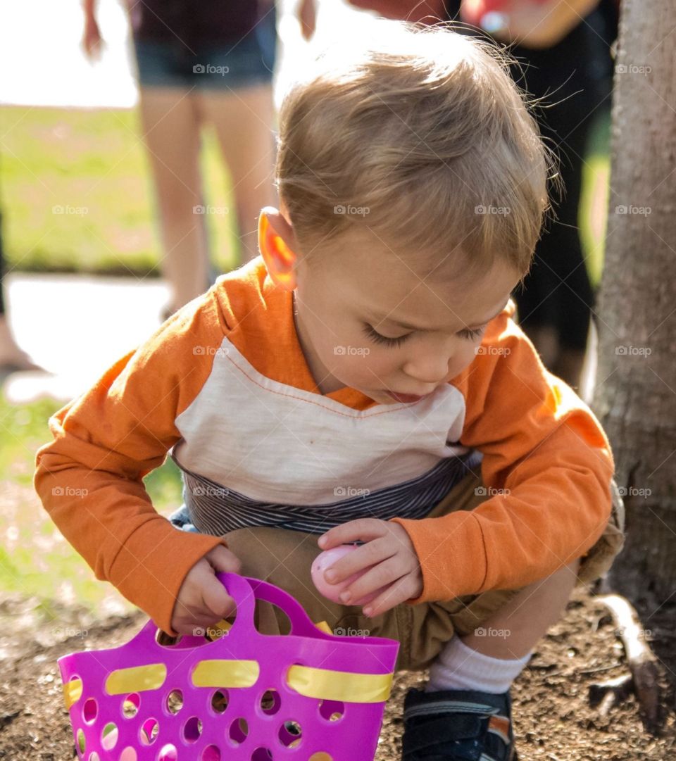Gathering Easter Eggs. Small boy gathering plastic Easter eggs , filled with candy , at an Easter celebration with family .