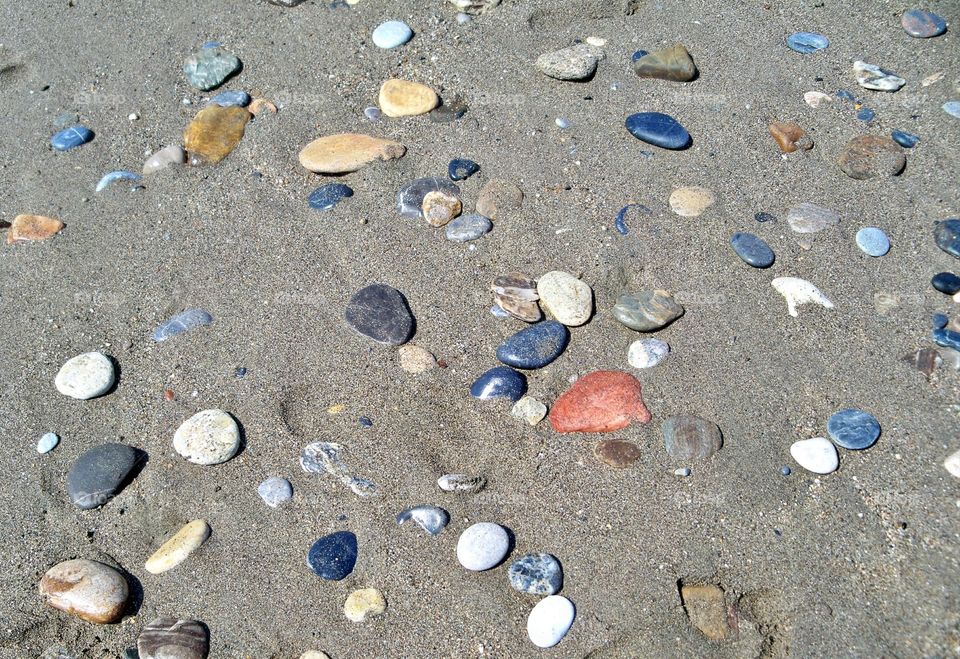 Sand, Beach, Seashore, Seashell, Texture