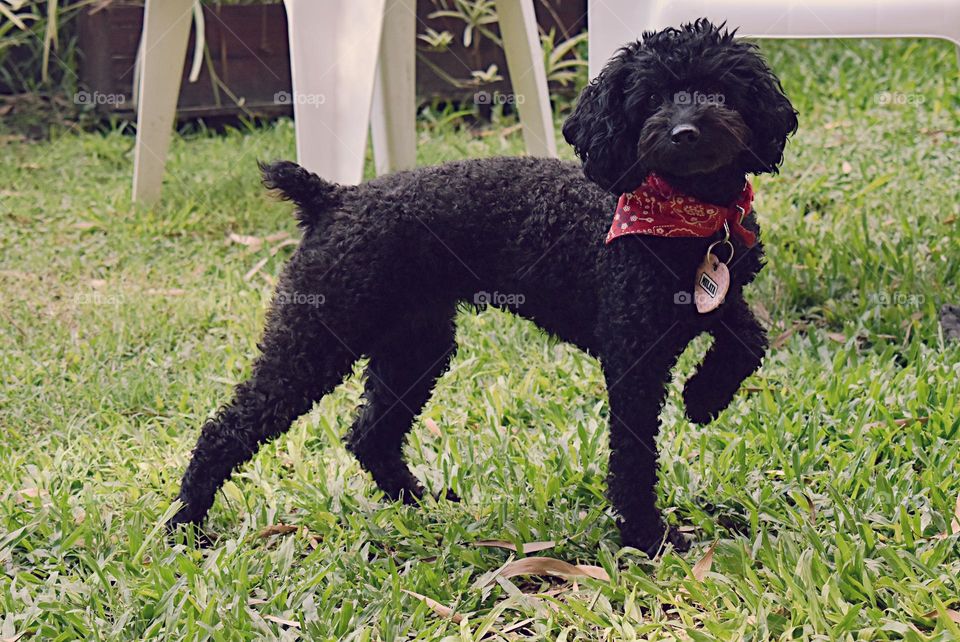 Amigos de vacaciones .Foto tomada con Nikon D3500