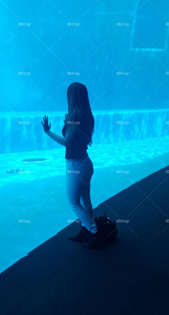 Aquarium ~ blue ~ water ~ enthusiasm