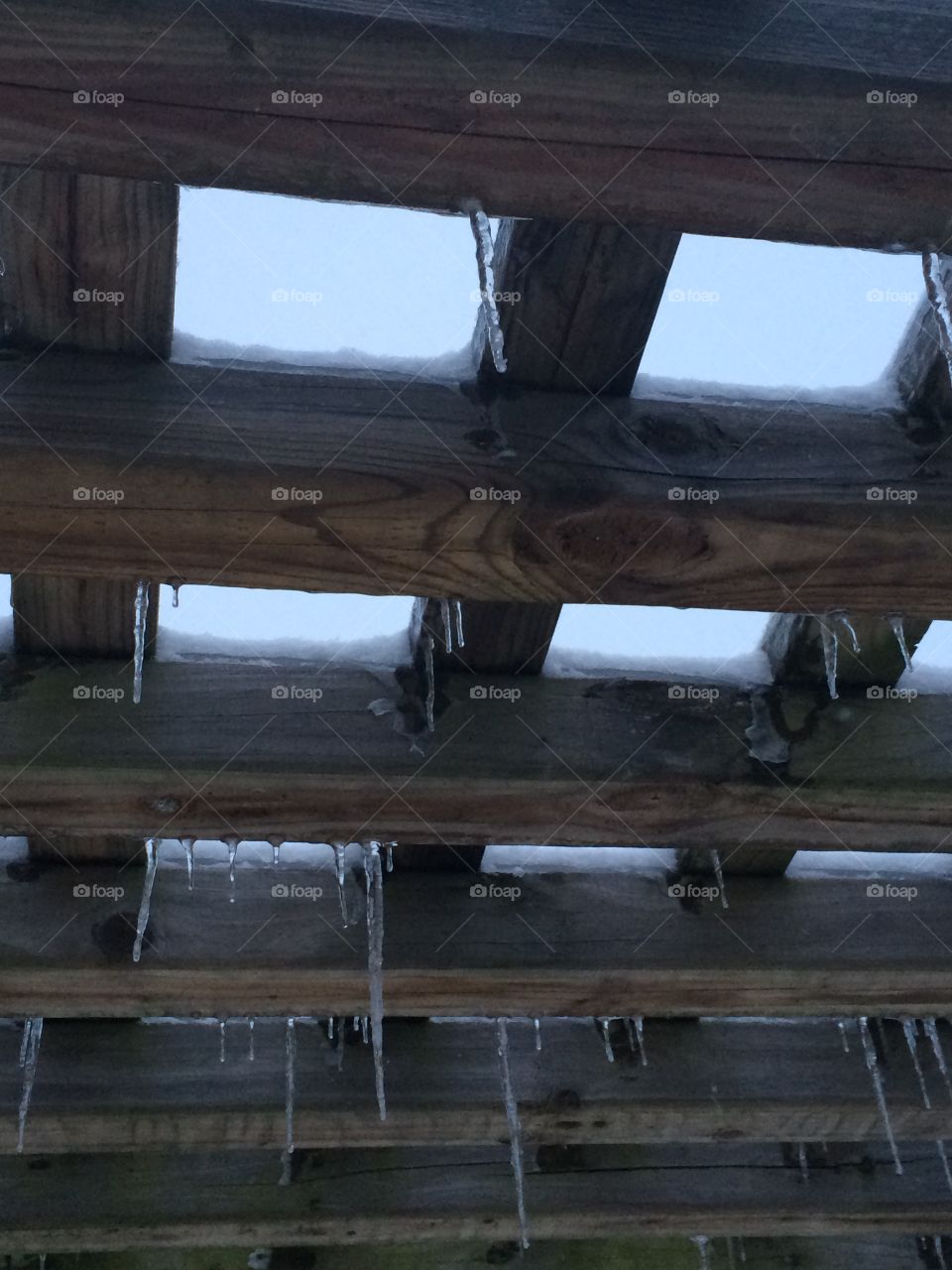 Hold on summers coming 