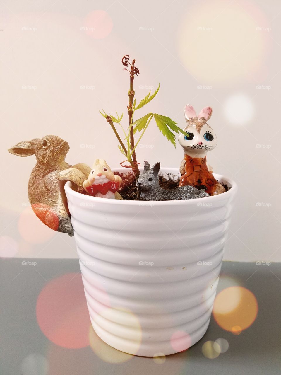 Bunny Pot