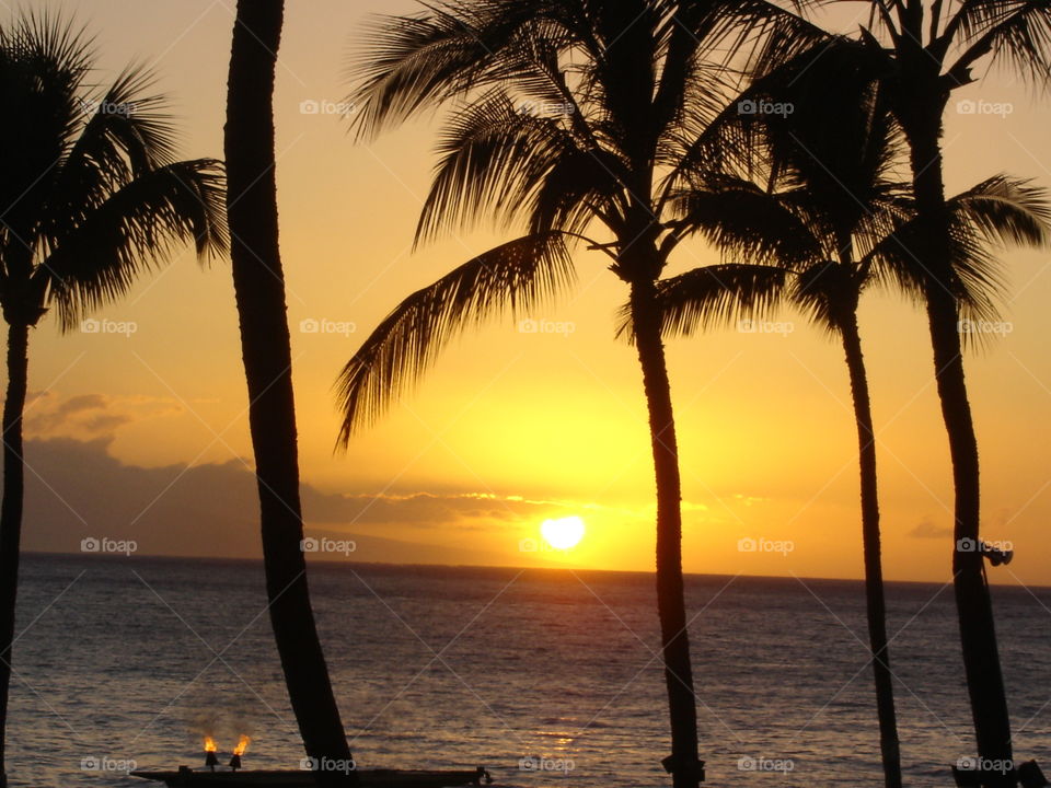 Hawaiian Sunset