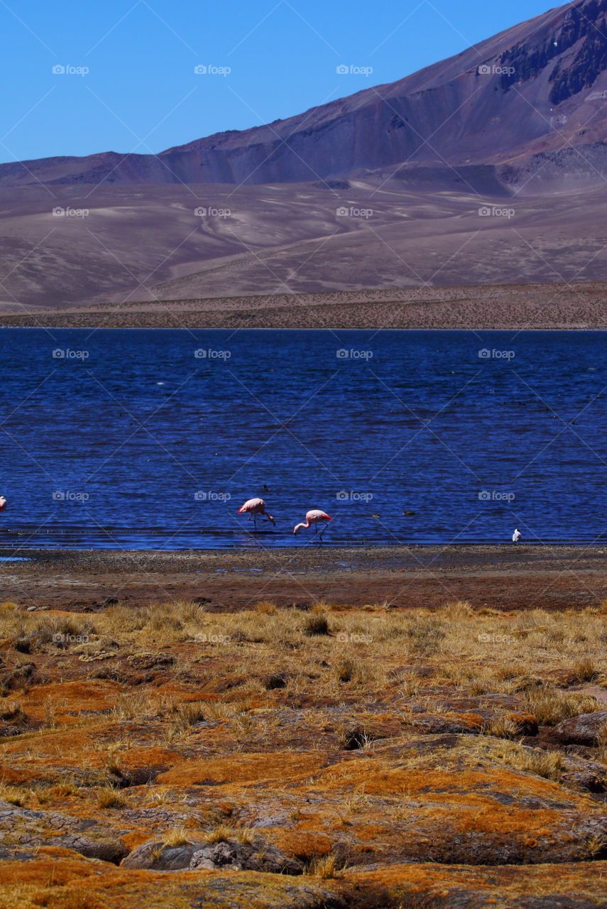 Water, No Person, Landscape, Travel, Outdoors