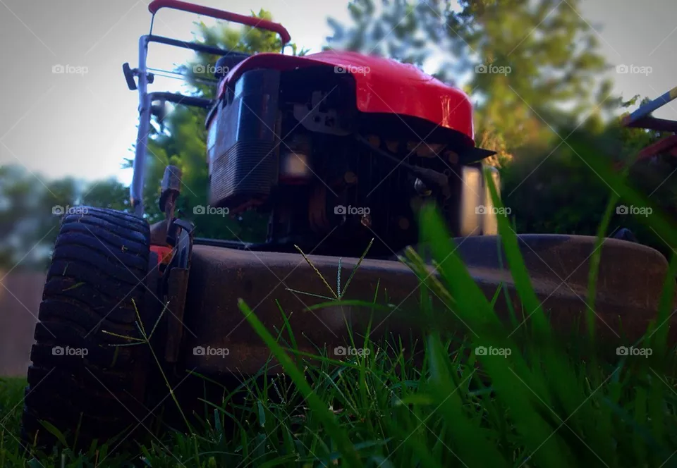 Lawn care