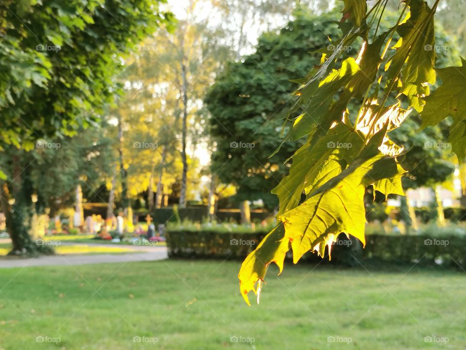 A visit on the graveyard