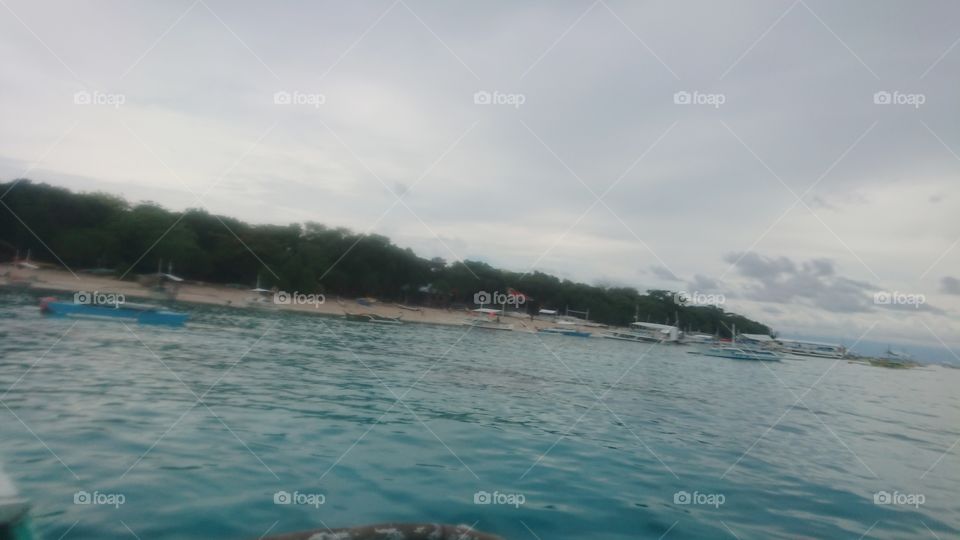 Boating and Dolphin Watching