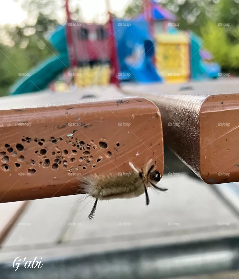 Bug’s Life