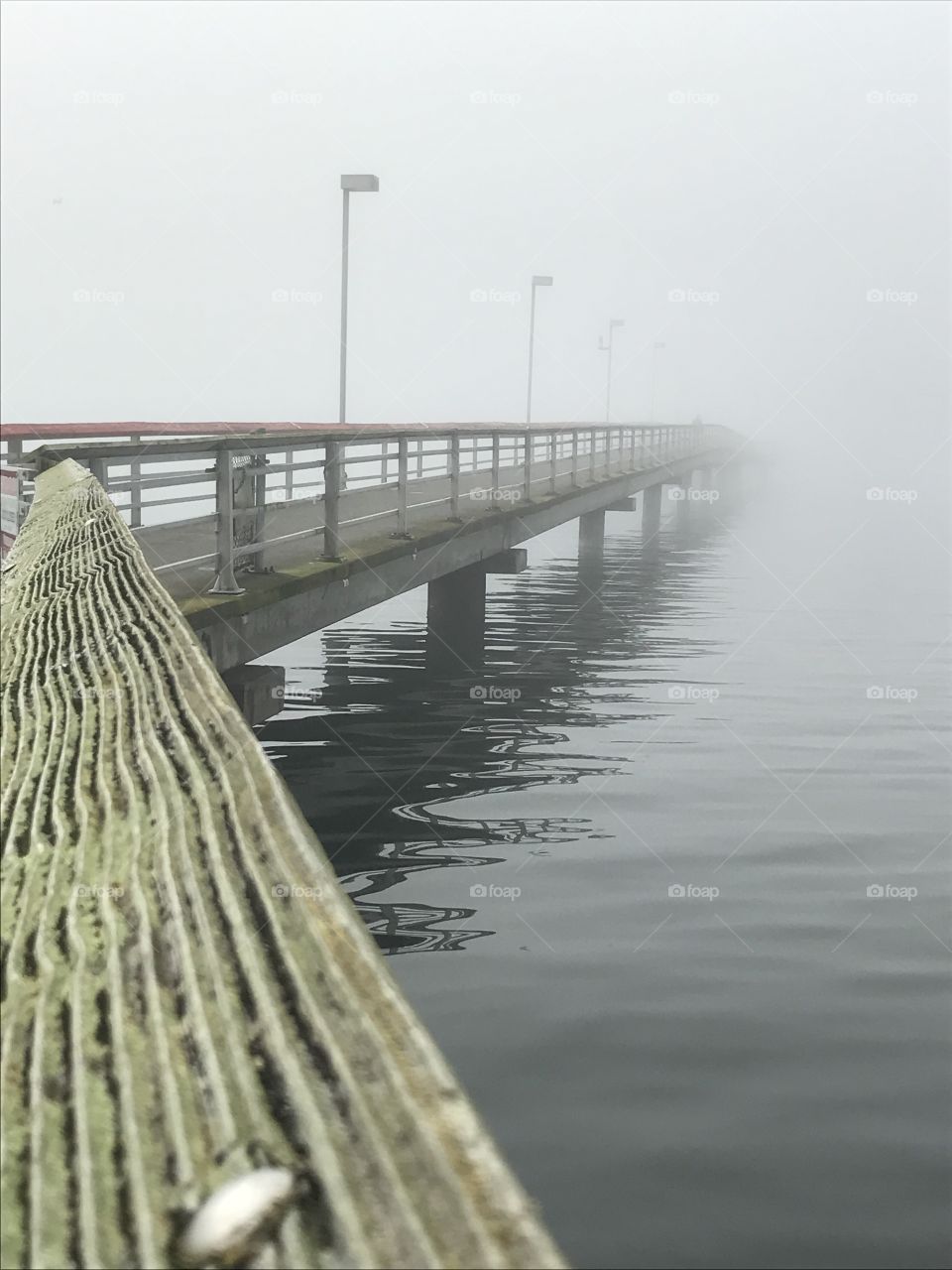 Fog on a marina in Federal Way, Wa.
