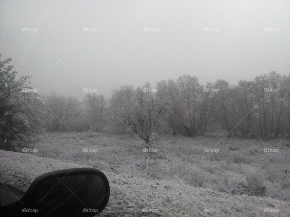 Winter, Snow, Fog, Tree, Landscape