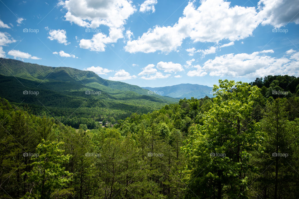 Landscape view of the Great Smoky Mountains 
