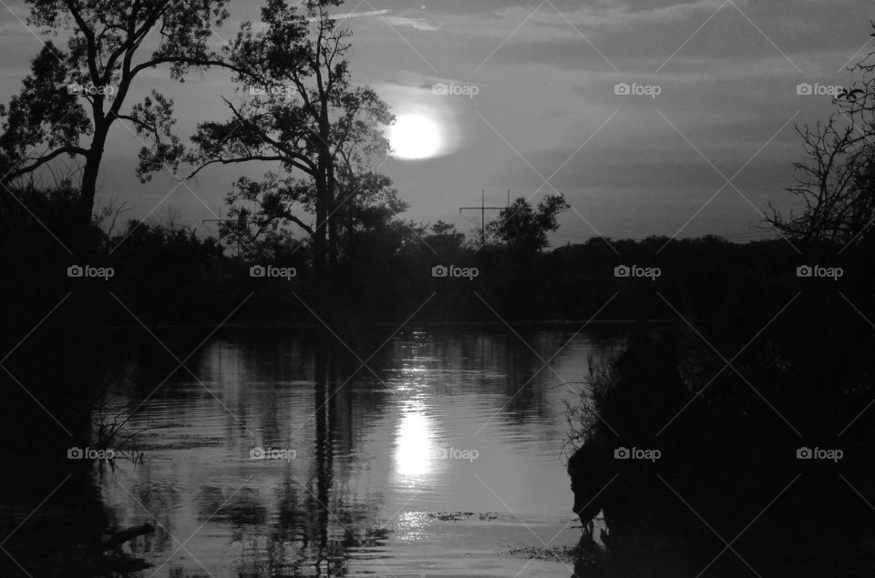 Water, Lake, Tree, Reflection, Dawn