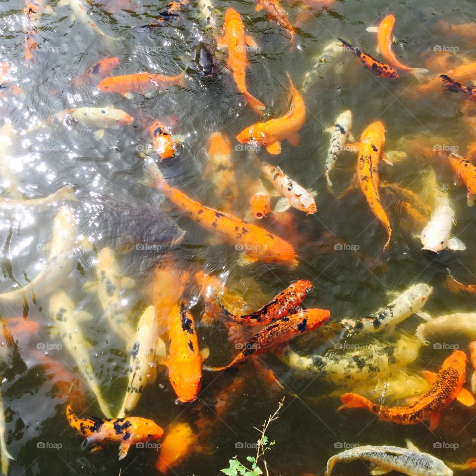 Feasting on some breakfast!