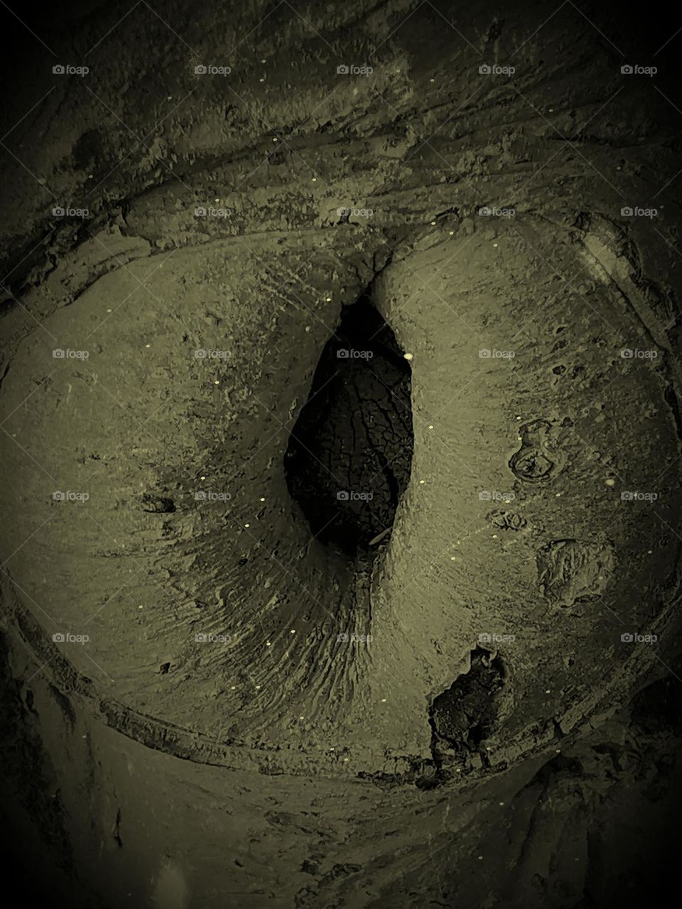 nature's way of healing