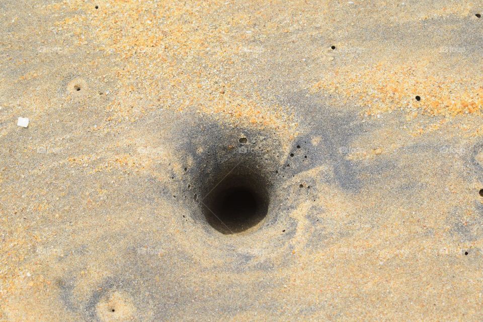 beach wet sand crab hole