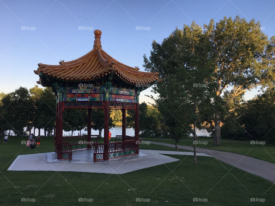 China saskatoon 