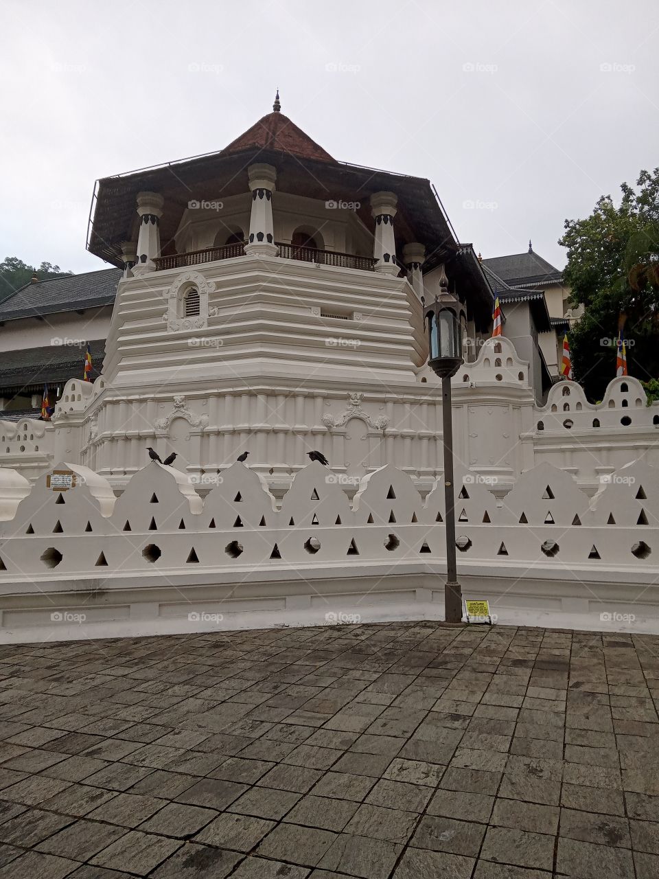 dalada maligava srilankan