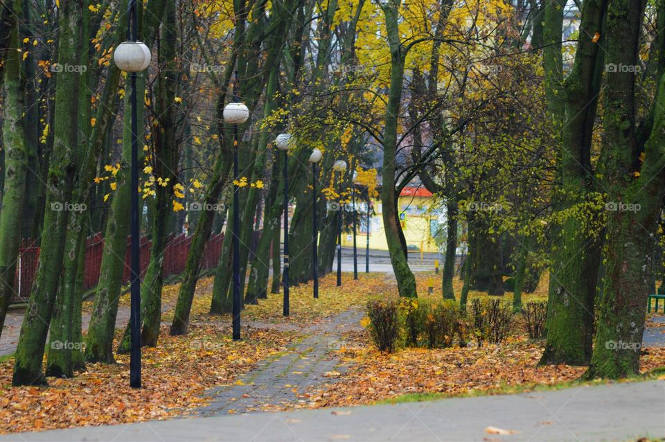 autumn park