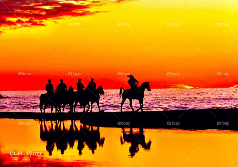 San Panchos Beach Horses