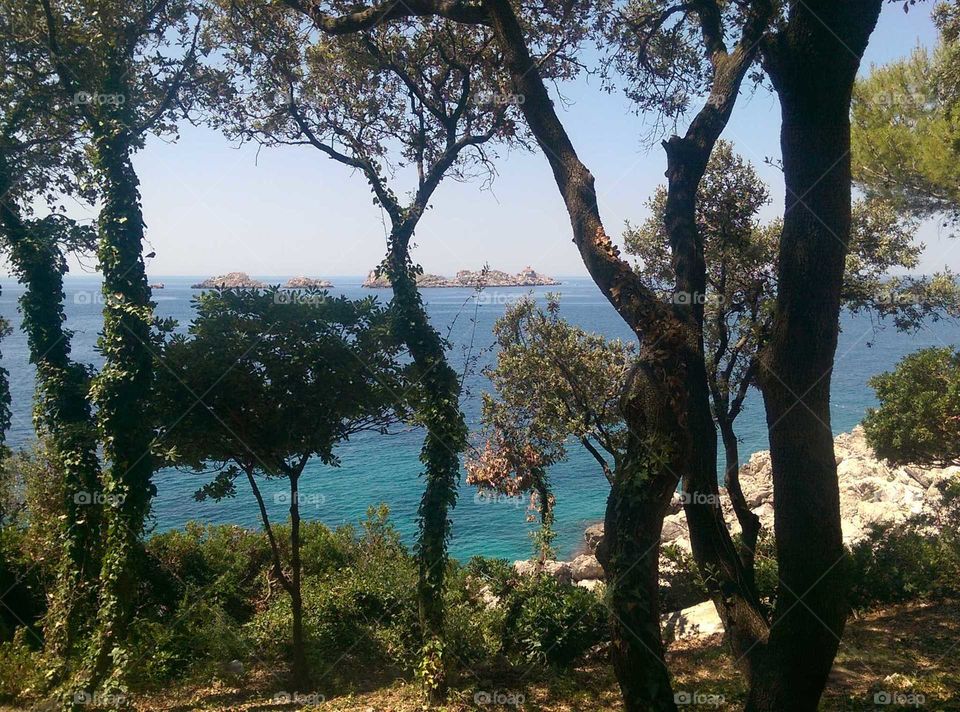 Overlooking the Adriatic