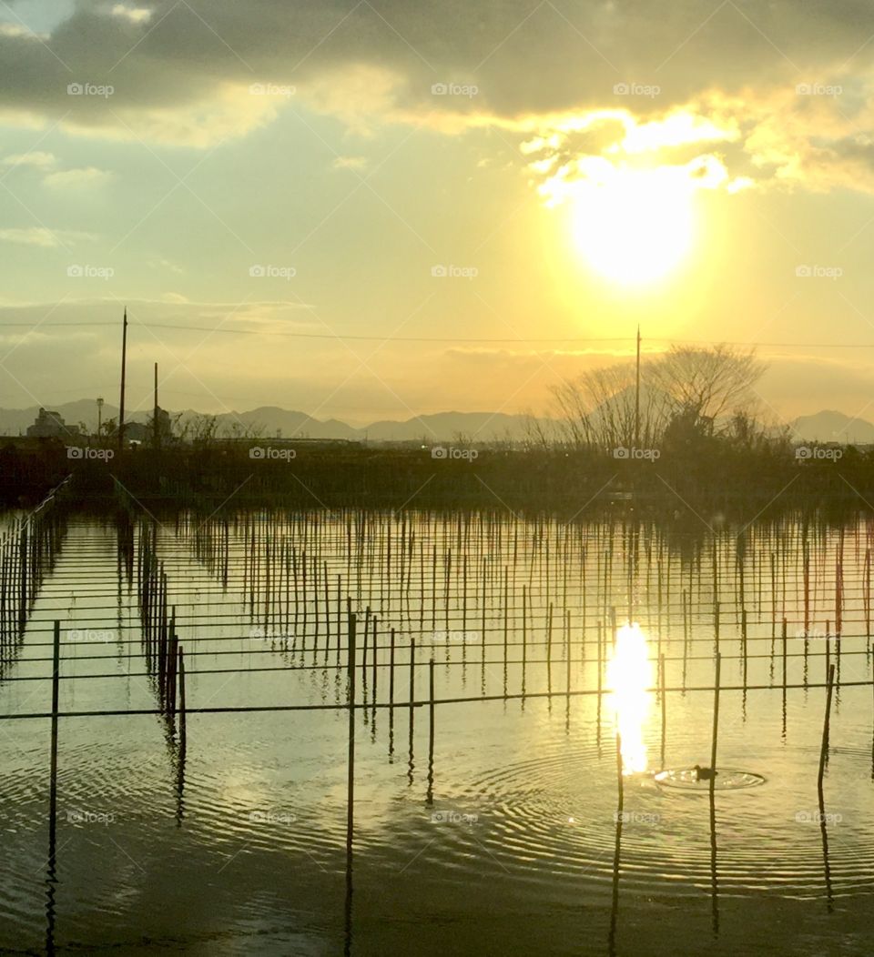 beautiful  winter morning