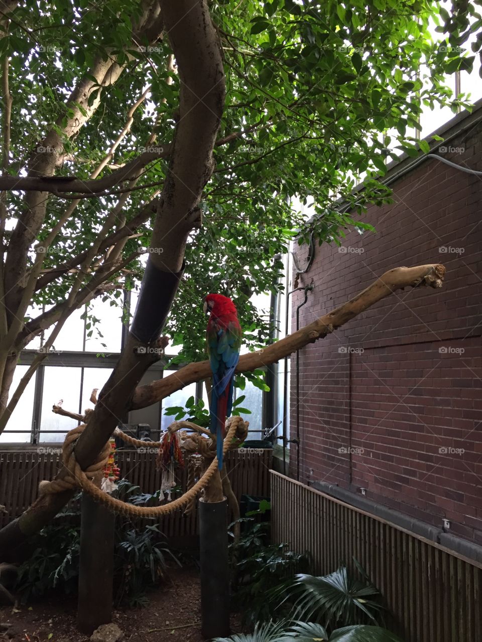 Wood, Tree, No Person, Outdoors, People