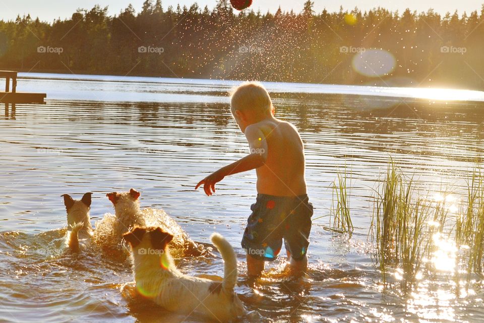 Summerday. Boy playing with dogs in the lake