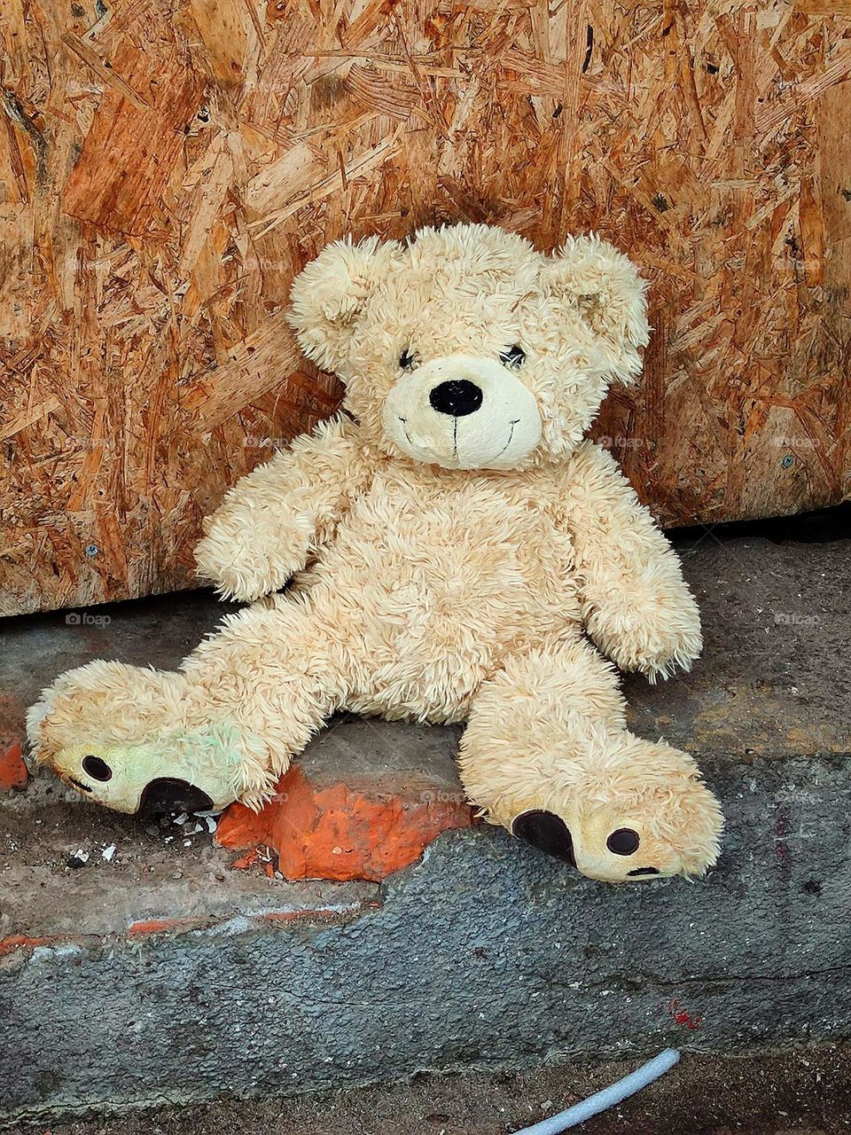Minimalism.  The teddy bear Teddy was left on the pavement.  Old toy