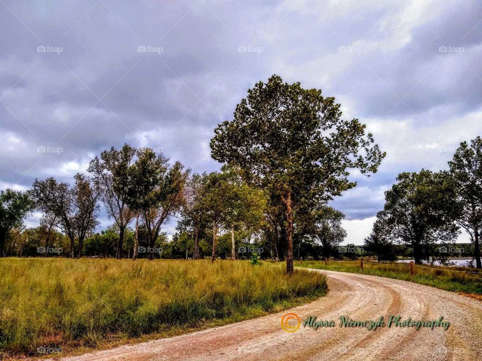 Gray cloudy skies, dirt road near ponds "Sometimes Your Path Changes". Autumn has kisses the trees.