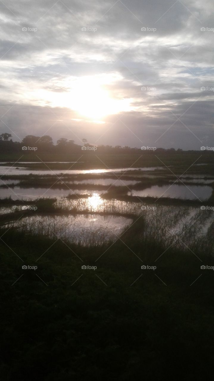 Nice and beautiful natural pictures