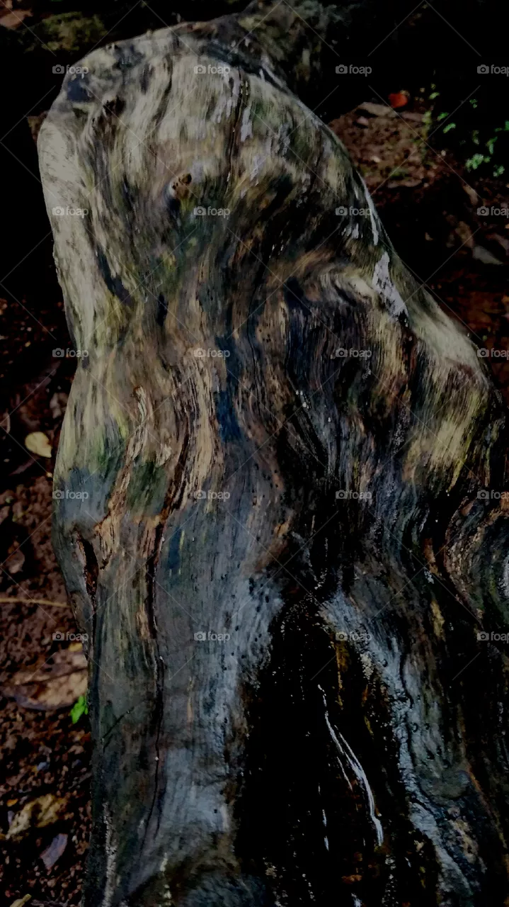 wood