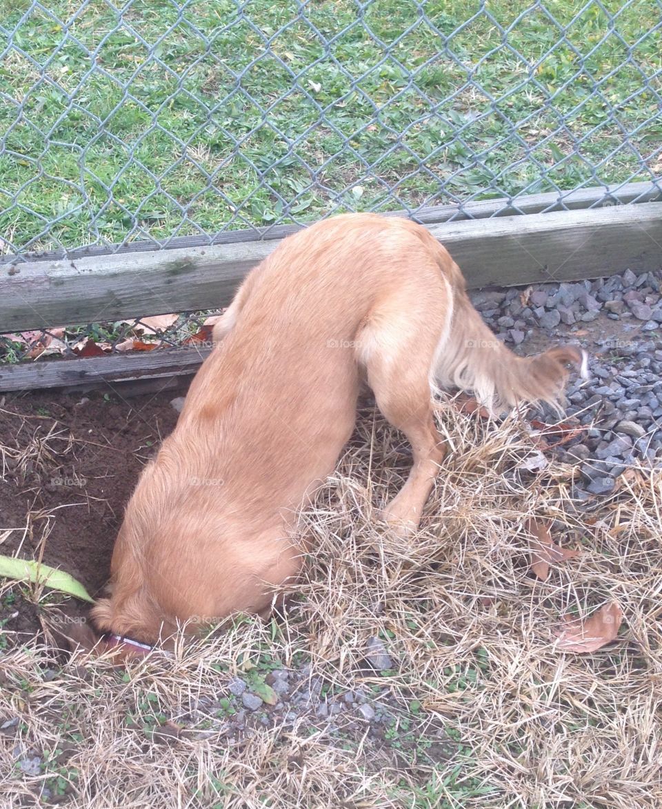 Digging for treasures