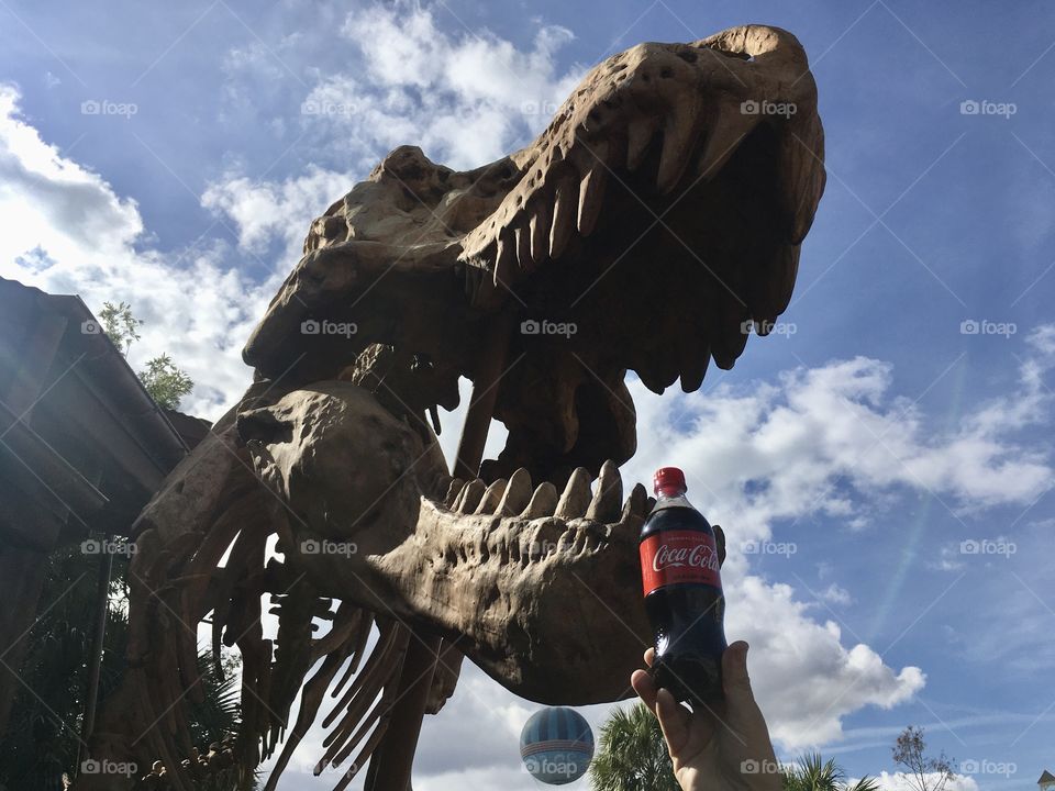 Coca-Cola photography mission 