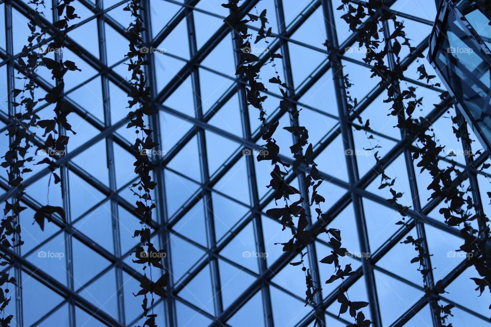 Building Architecture