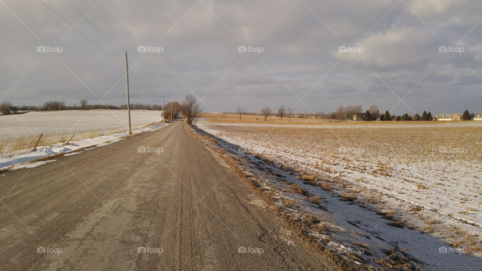 Country road in winter