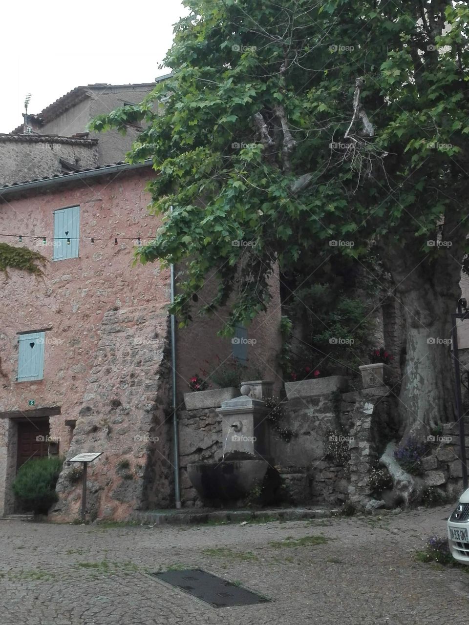 The gorges du Verdon , Ardèche , France