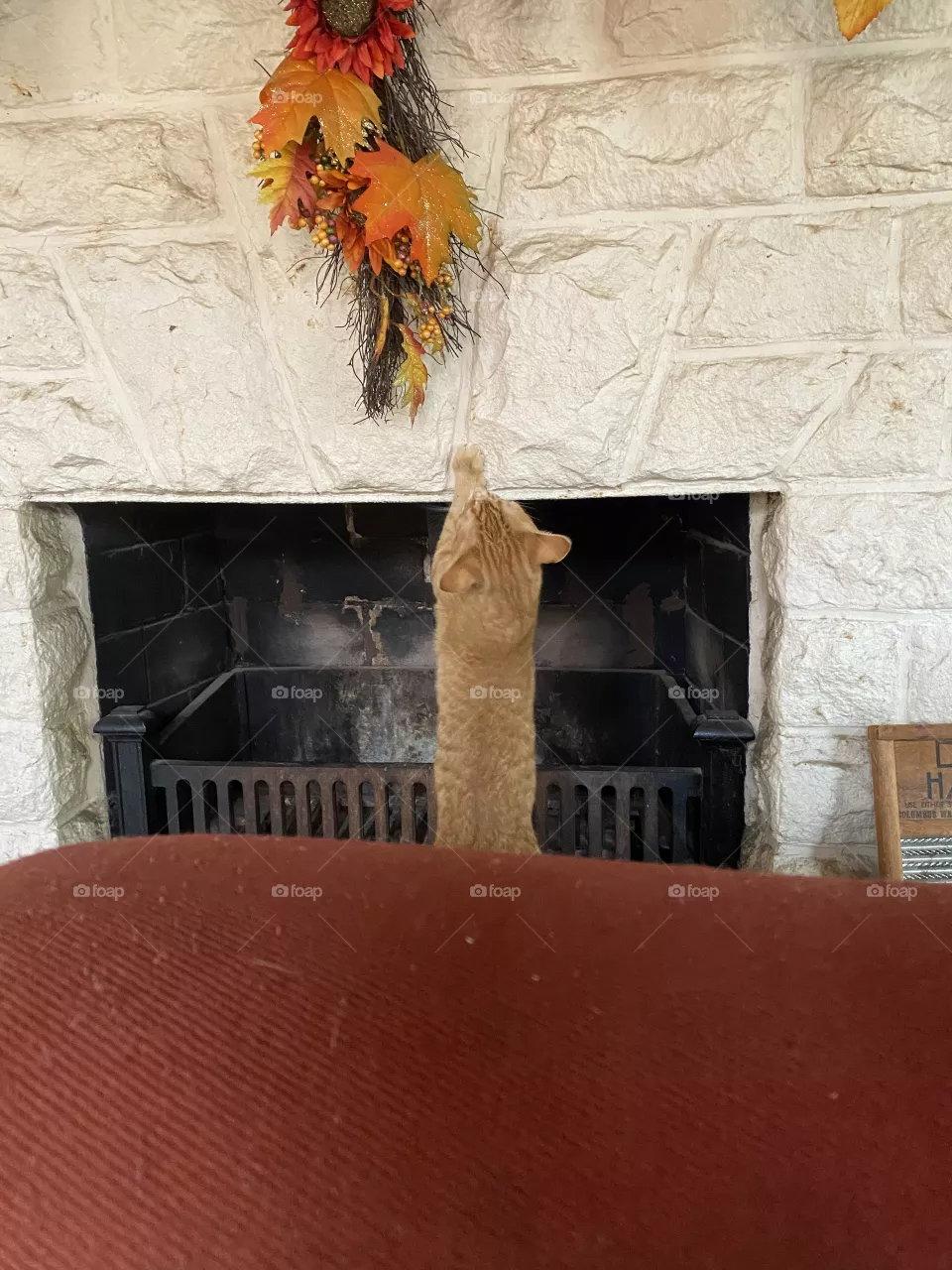 Decorating 