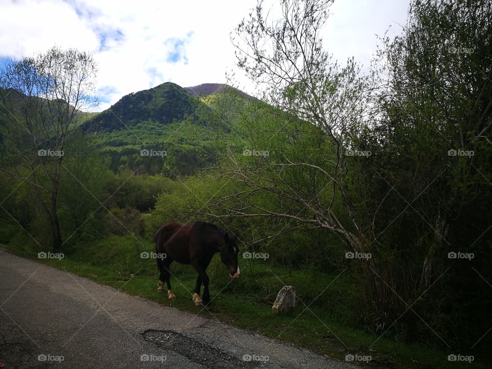 montagna